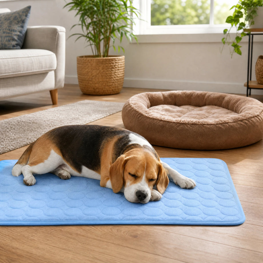 96 of 100 Dogs Choose It on Their Own
